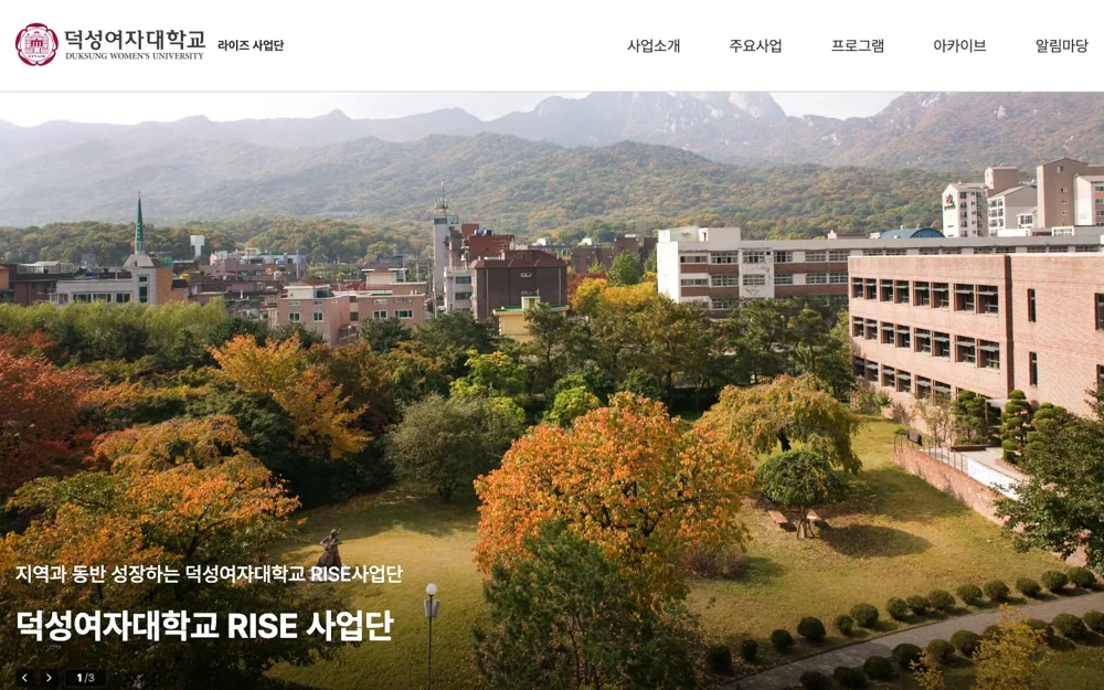 대학 RISE 사업단 실제 서비스 화면